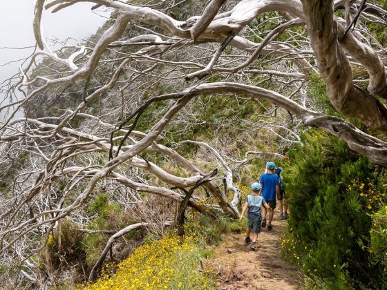 Experience the Thrill of a Lifetime: Outdoor Adventures in New Zealand