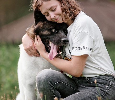 The Ultimate Guide to Flying with Pets: How to Make Your Journey Stress-Free